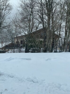 A snow-covered landscape with leafless trees and a building in the background.