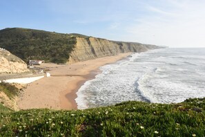 在海灘附近、沙灘巾