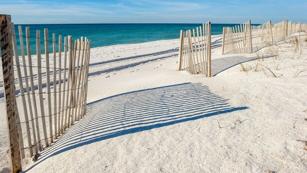 Une plage de sable bordée de clôtures en bois, sous un ciel bleu et dégagé.