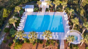 Vue aérienne d’une piscine rectangulaire entourée de palmiers et de chaises longues.