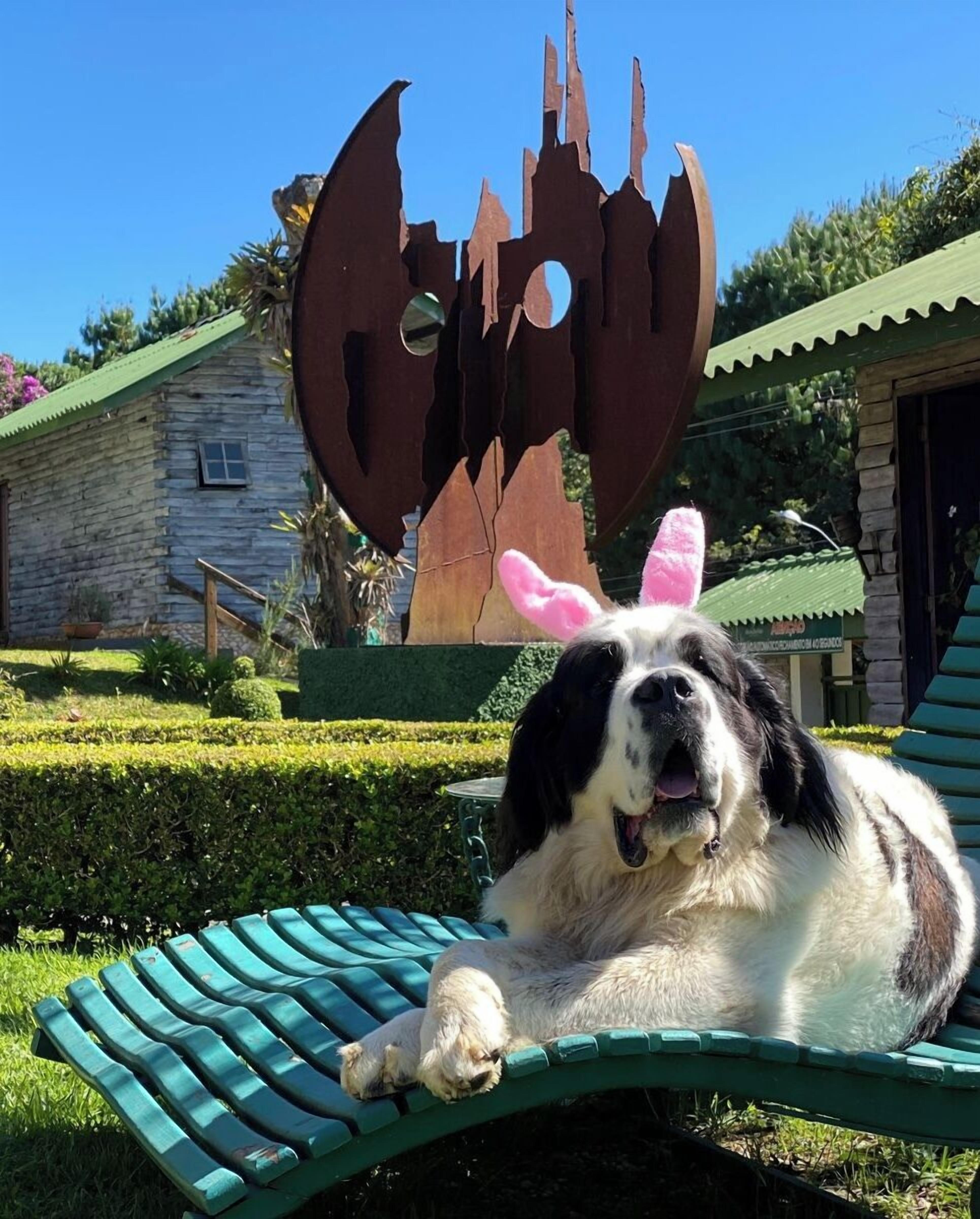 Foto - Pousada Alto Da Boa Vista