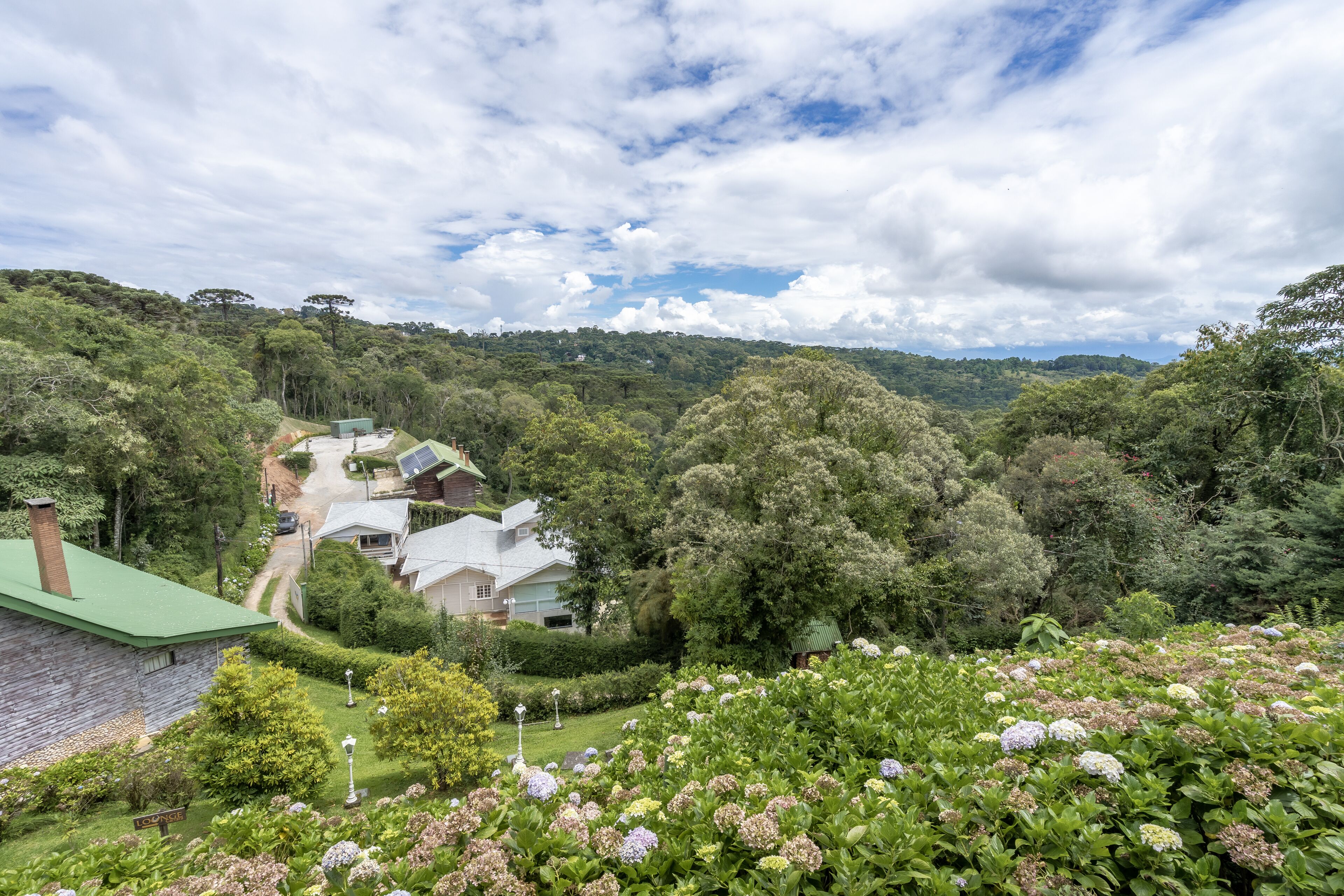 A lush garden with hydrangea flowers, a stone building, and a pathway leading to a row of houses with green roofs.