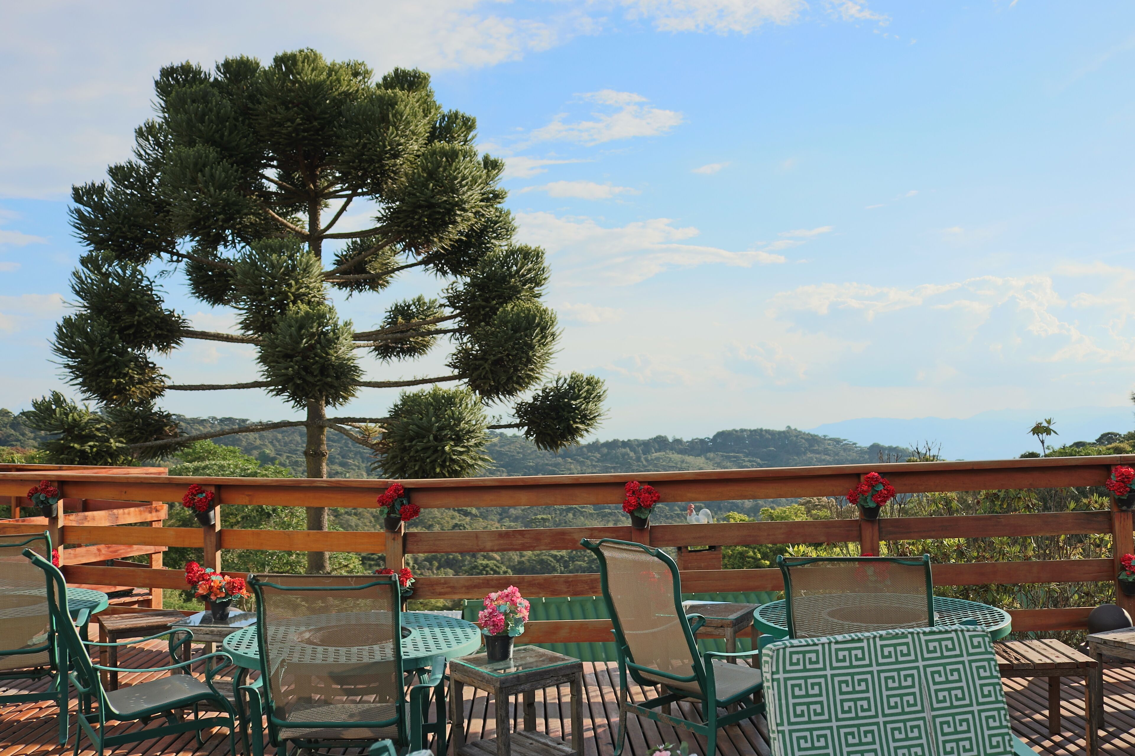 Vue depuis l’hébergement