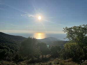 Miscellaneous - Corsica Natura 5 kilometers from the beaches  (Coti-Chiavari)