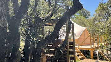 Enceinte de lâhĂ©bergement