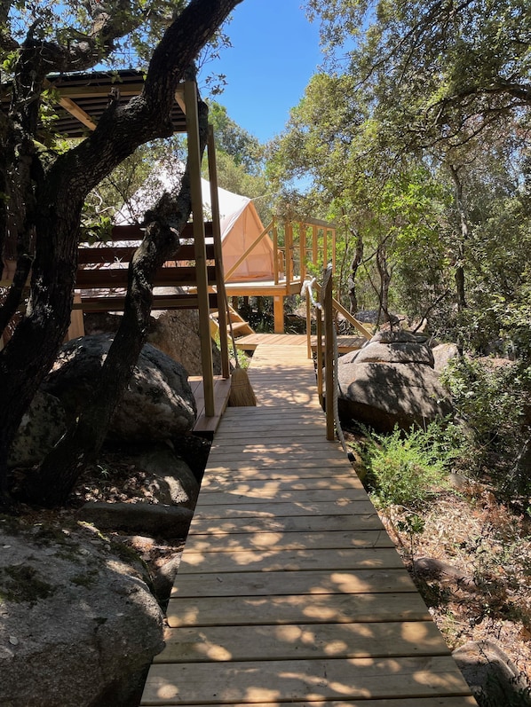 A wooden deck leading to a tented accommodation surrounded by trees and rocks.