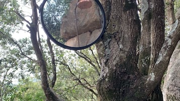 Terrein van de accommodatie