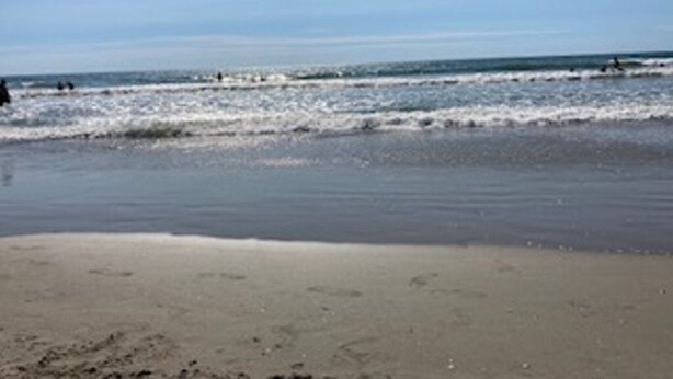 A beach with a sandy shore and waves. - Beach block Wildwood Crest ground level condo-103 (Wildwood Crest)