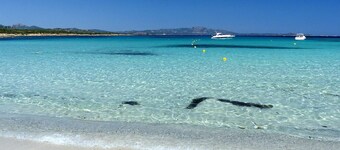 Herrliche Villa auf 800 Metern. von den Stränden von Pittulongu und Bados