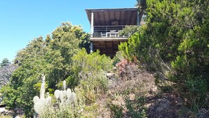 Ein Gebäude mit Holzbauweise und einem Balkon, umgeben von dichter Vegetation und Bäumen.