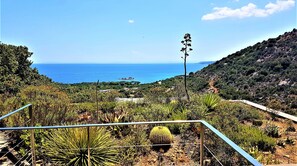 Property grounds - Studio apartment for 2 people. (Porto-Vecchio)