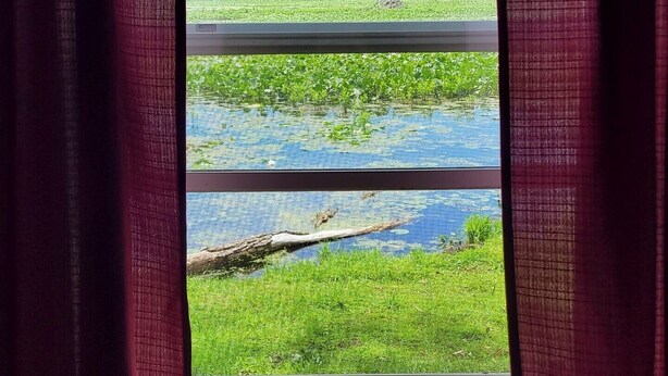 Ein Fenster mit roten Vorhängen, Blick auf eine grüne Landschaft mit Wasser und Bäumen.