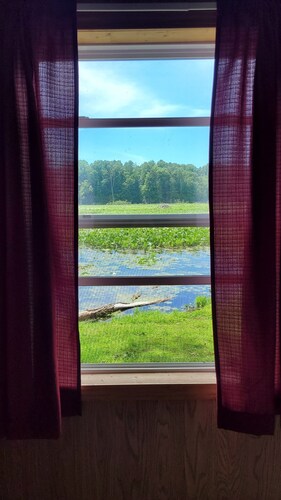 Nature lover's paradise!  Just peace, solitude, tranquility, birds & the trees!