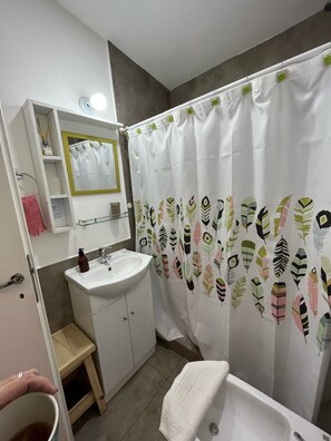Regadera, secadora de cabello, bidet, toallas