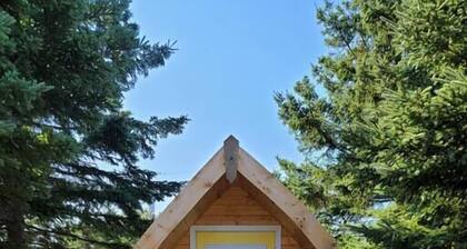 Black Spruce Camping Pod