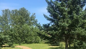 Ein unbefestigter Pfad schlängelt sich durch eine grasbewachsene Landschaft mit Bäumen und Sträuchern.