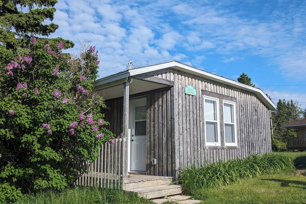 Aurora cottage and the lilacs!