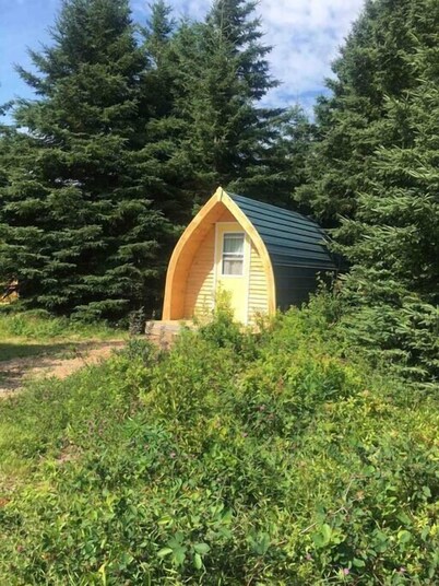 Blue Spruce Camping Pod