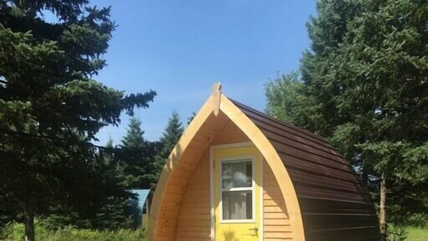 Une petite cabane en bois d’un seul étage, avec une porte jaune et un toit brun, entourée d’arbres et d’une zone herbeuse.