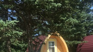 Une petite cabane jaune, avec une seule porte et une seule fenêtre, entourée d’arbres et bordée d’un chemin de terre.