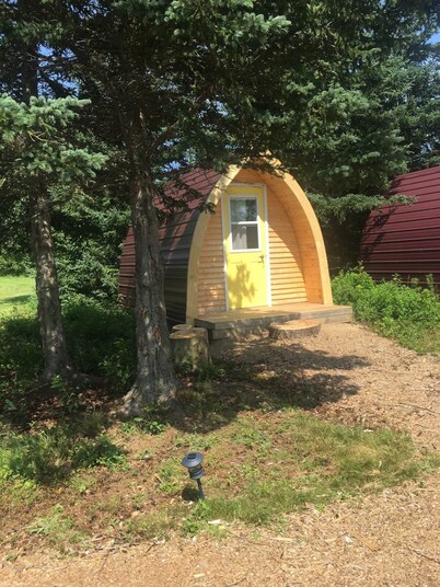 White Birch Camping Pod