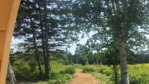 Un sentier de terre serpente à travers une zone boisée, bordée d’arbres et de verdure. Des bancs en bois et une petite table se trouvent à proximité du sentier.