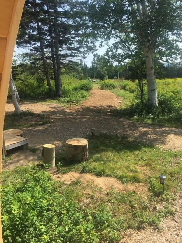Un sendero de tierra que serpentea por un área boscosa con árboles y follaje. Se observan bancos de madera y una pequeña mesa cerca del sendero.