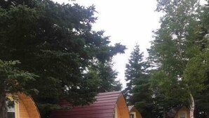 Una hilera de pequeñas cabañas de madera, con un camino de tierra que las conduce, rodeadas de árboles.