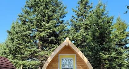 Yellow Birch Camping Pod