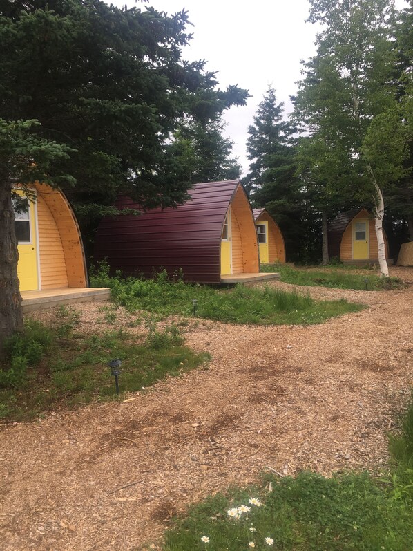 A row of small, wooden cabins with yellow doors, surrounded by trees and a gravel path.