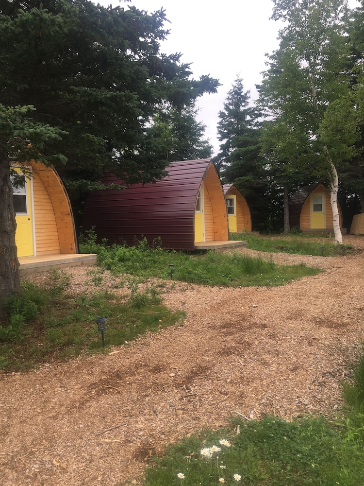 Sugar Maple Camping Pod