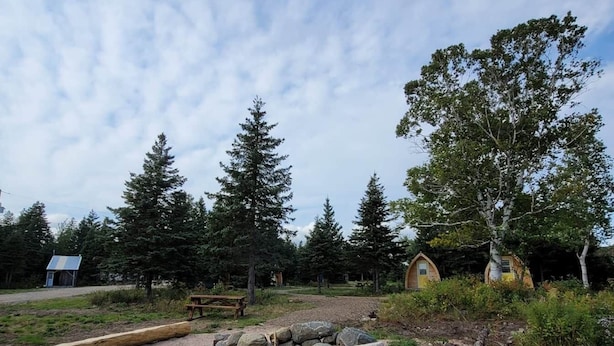 Ein Campingplatz mit Feuerstelle, Bänken und Picknicktisch, umgeben von Bäumen.