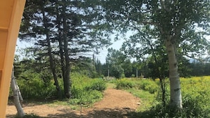 Ein Außenbereich mit einem Feldweg, Holzbanken und einer Holzterrasse.