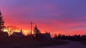Ein ländlicher Weg mit Häusern und Bäumen im Abendlicht.