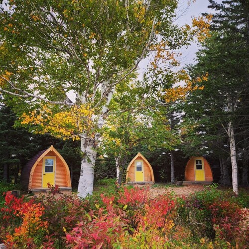 Mountain Ash Camping Pod