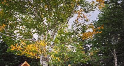 Mountain Ash Camping Pod