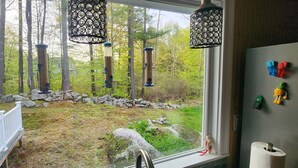 Une fenêtre donnant sur une cour arrière avec un mur en pierre, une terrasse en bois et des mangeoires à oiseaux suspendues.