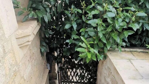A narrow staircase with a metal handrail, flanked by stone walls and a wooden lattice gate at the top.