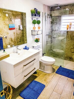 Shower, hair dryer, towels, soap