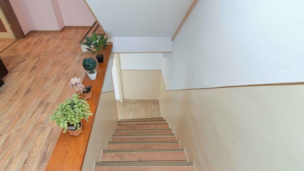 A wooden staircase with a handrail, leading to a landing. There are potted plants on the landing.