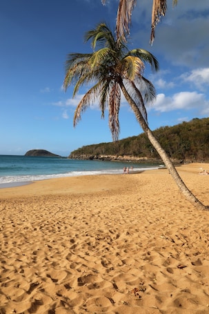 Pantai di sekitar dan pasir putih