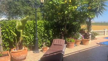 Terras