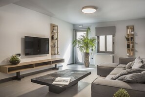 TV