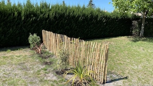A garden with a bamboo fence, various plants, and a hedge in the background.
