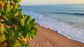 Playa en los alrededores, camastros y toallas de playa