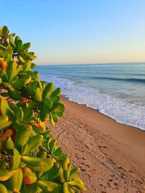 A beach with footprints in the sand and green foliage in the foreground.