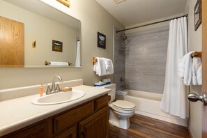 Combined shower/bathtub, hair dryer, towels, shampoo
