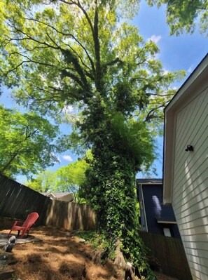 Enjoy outdoor seating under the shade of a large tree in the backyard.