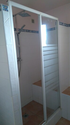 Shower, towels, toilet paper