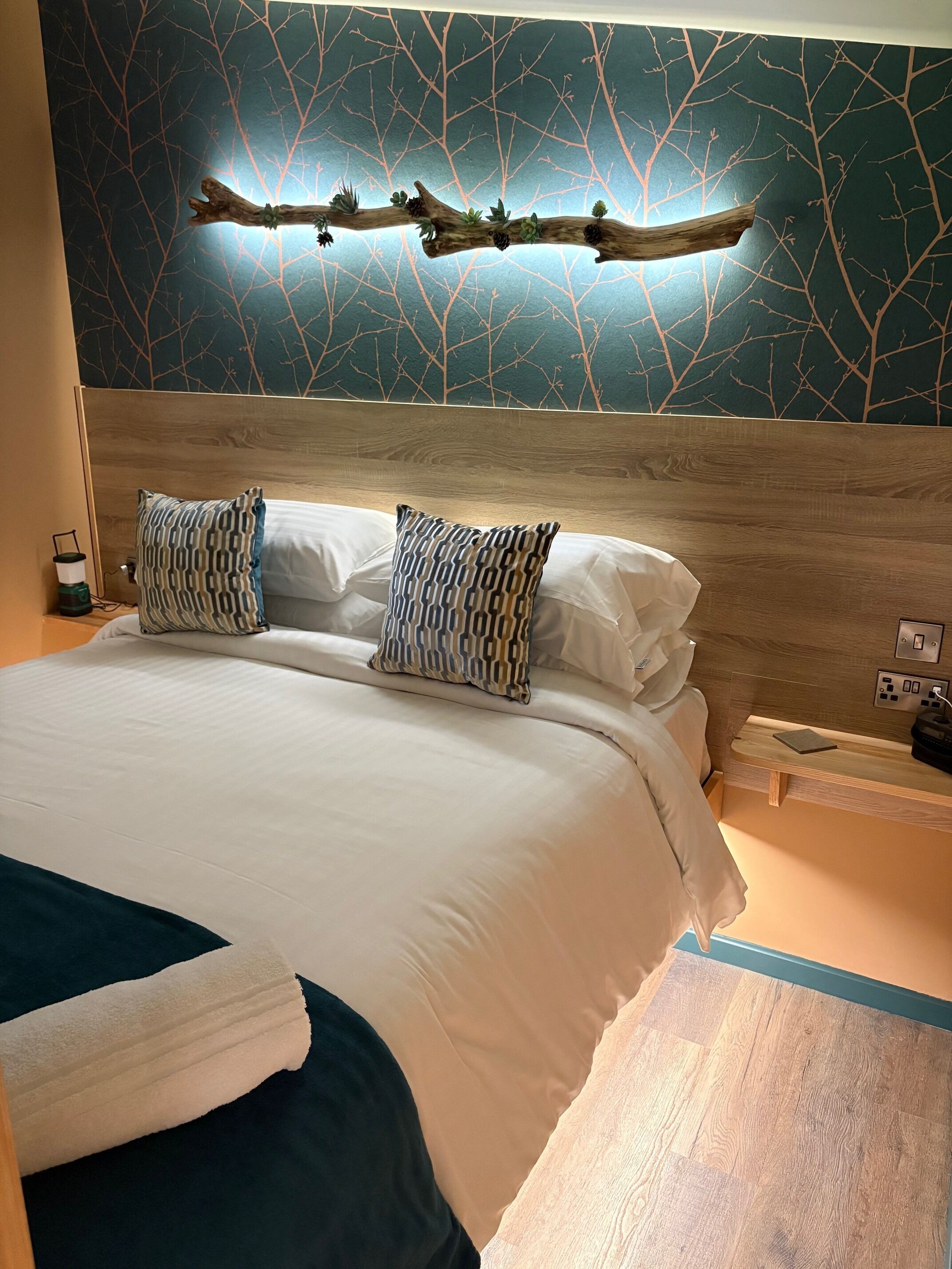 Deluxe Room, Private Bathroom, Lake View | 1 bedroom